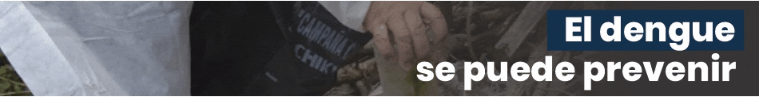 NO a la reforma laboral