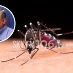 Jujuy registra 34 casos de chikungunya sin internaciones ni cuadros graves